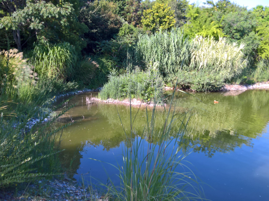 Jardin Aquatique Aux Fleurs de l'Eau景点图片