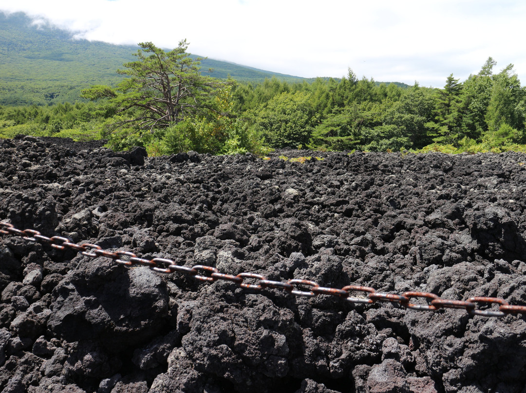 Mt. Iwate Yakehashiri Lava Flow景点图片