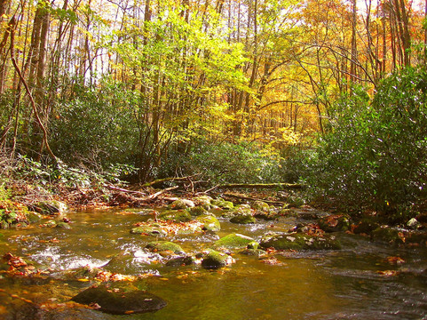 猫头鹰的栖息地（需要5英寸间隙）主图