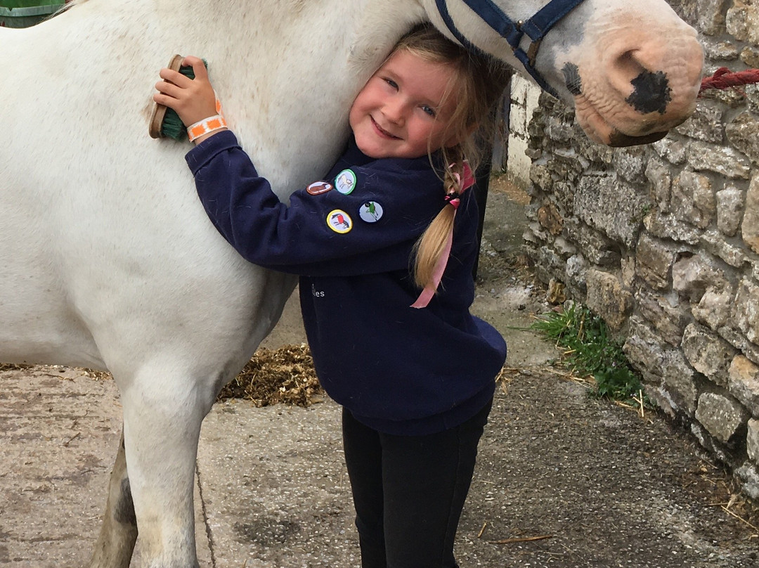 Pevlings Farm Riding & Livery Stables-Templecombe必去景点