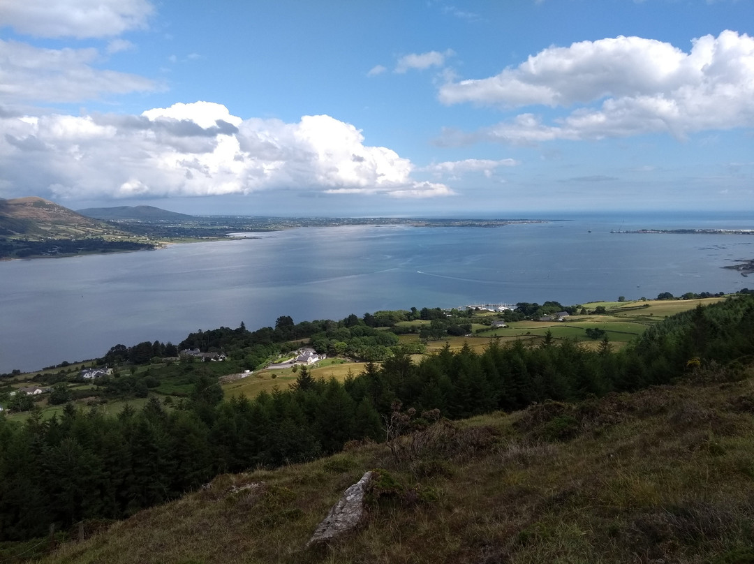 Slieve Foye Woods-Carlingford必去景点