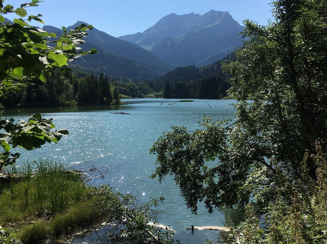 Bellevaux旅游攻略图片