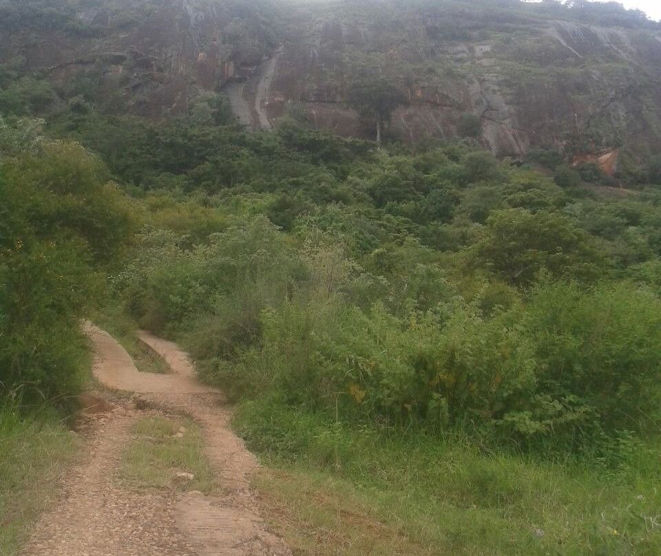 Tororo Rock-Tororo必去景点