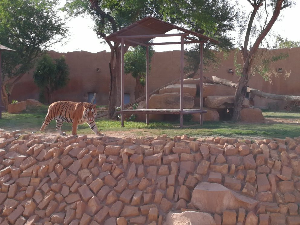 Riyadh Zoo景点图片