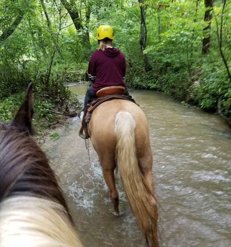 Blue Ridge Mountain Trail Rides At Hells Hollow景点图片