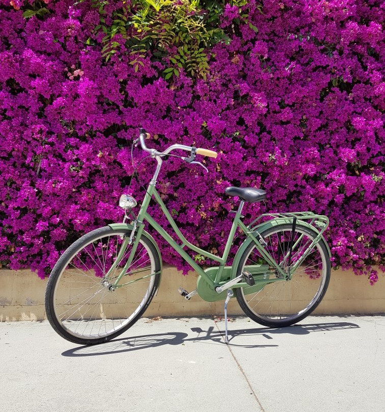 Urban Bicycles景点图片