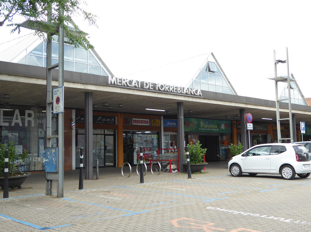 Mercat Torreblanca景点图片