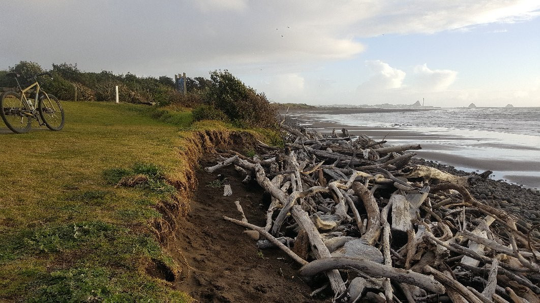 Port Taranaki Walkway-新普利默斯必去景点