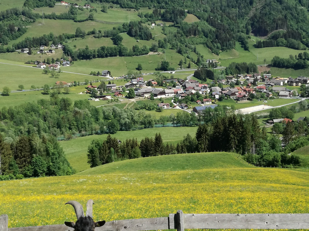 Panoramahotel Stocker主图