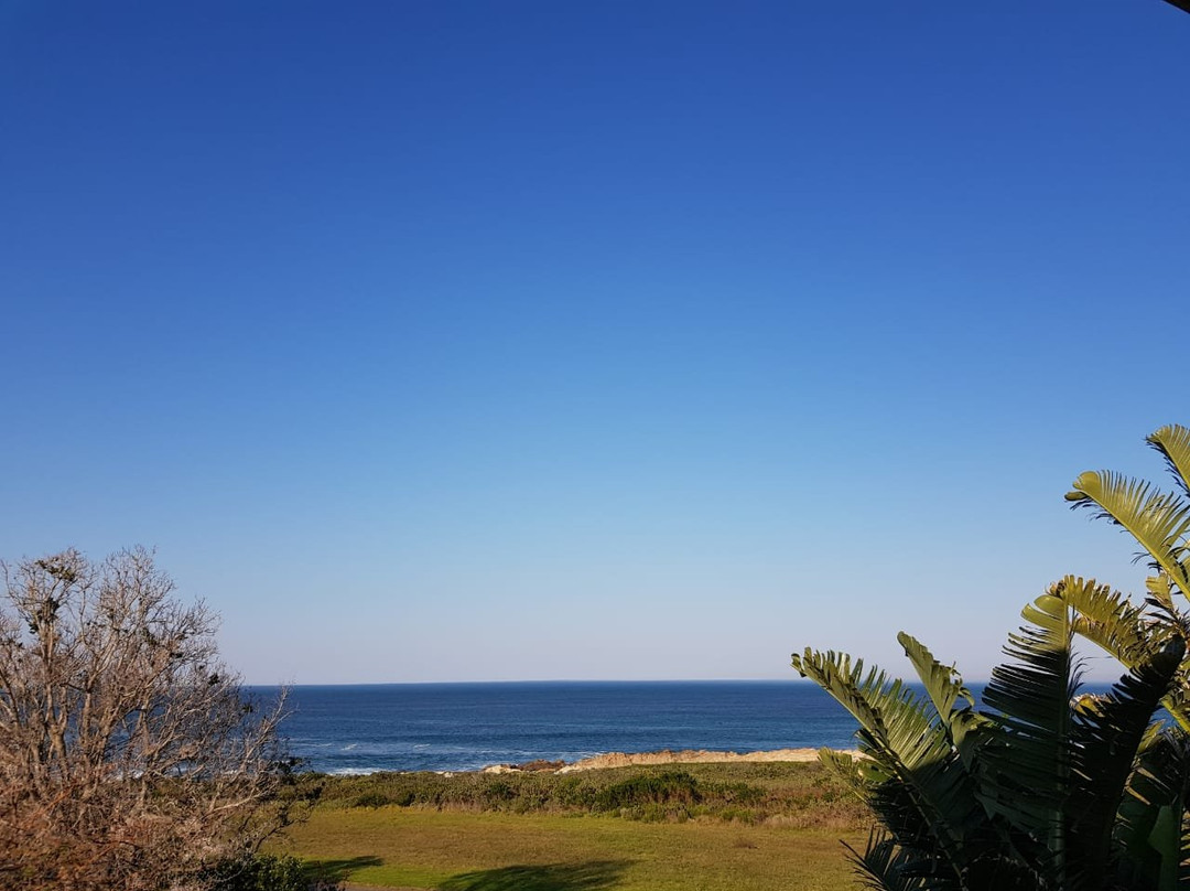 Whaler's Point主图