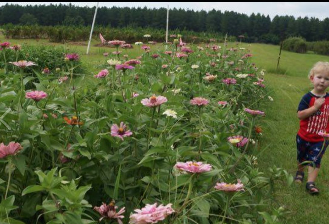 Hillcrest Farm-Elberta必去景点