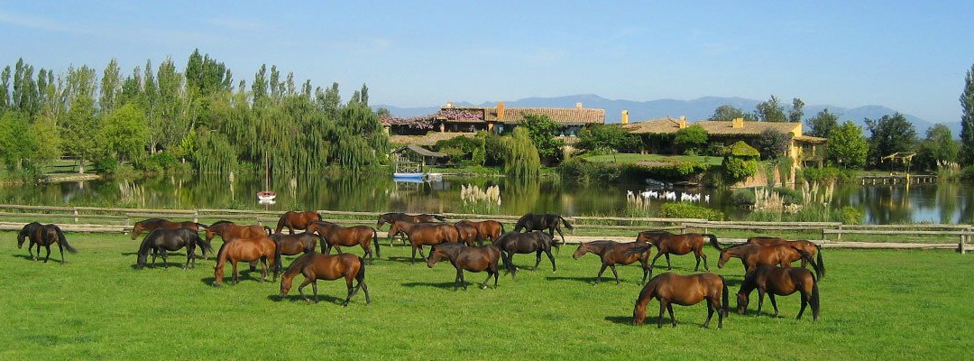 Yeguada Senillosa - Turisme Rural