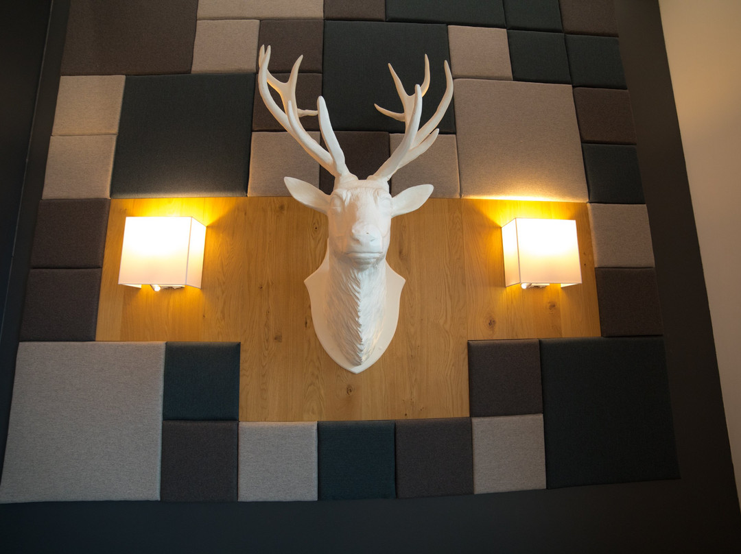 Hotel Zum Hirsch主图