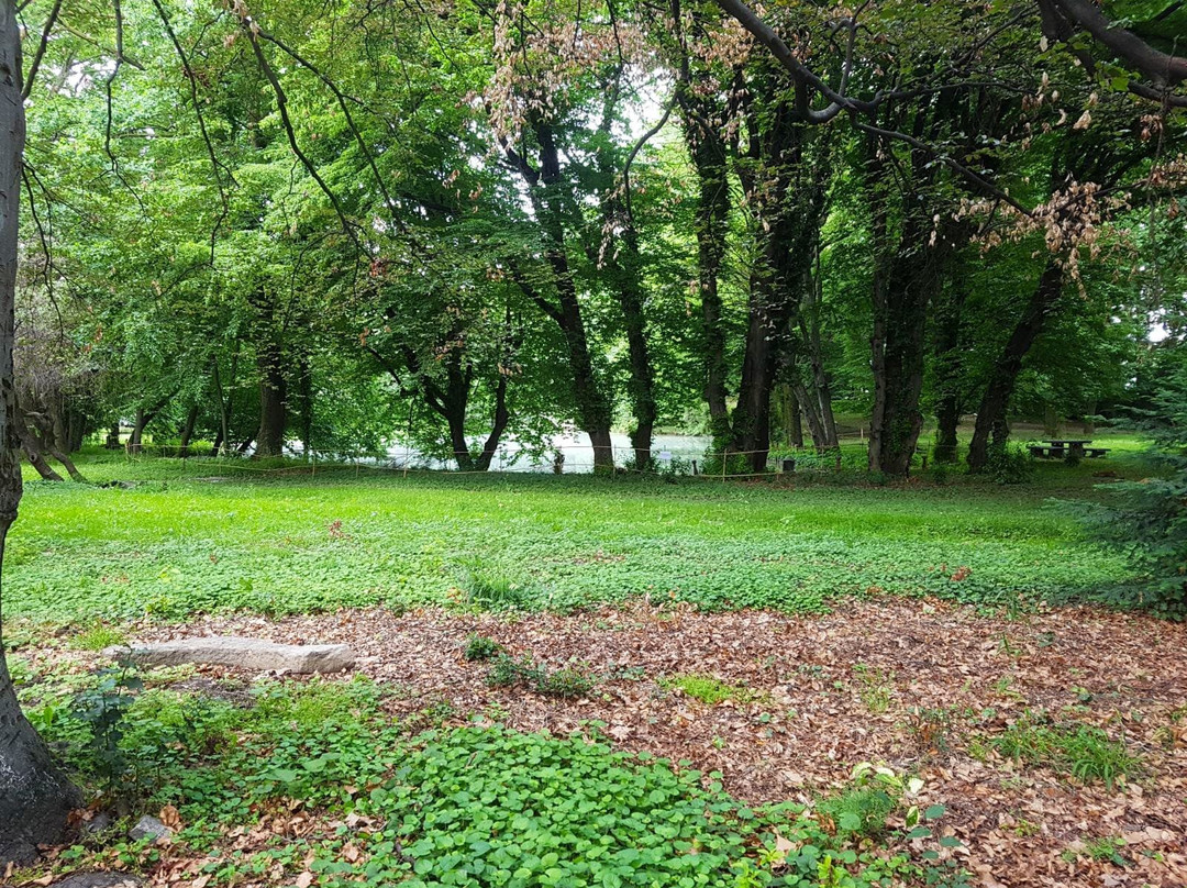 Villa Tornaforte景点图片