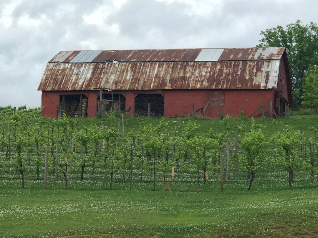 Three Sisters Vineyards & Winery景点图片