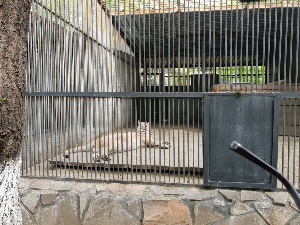 Karaganda State Zoo-加拉干达必去景点