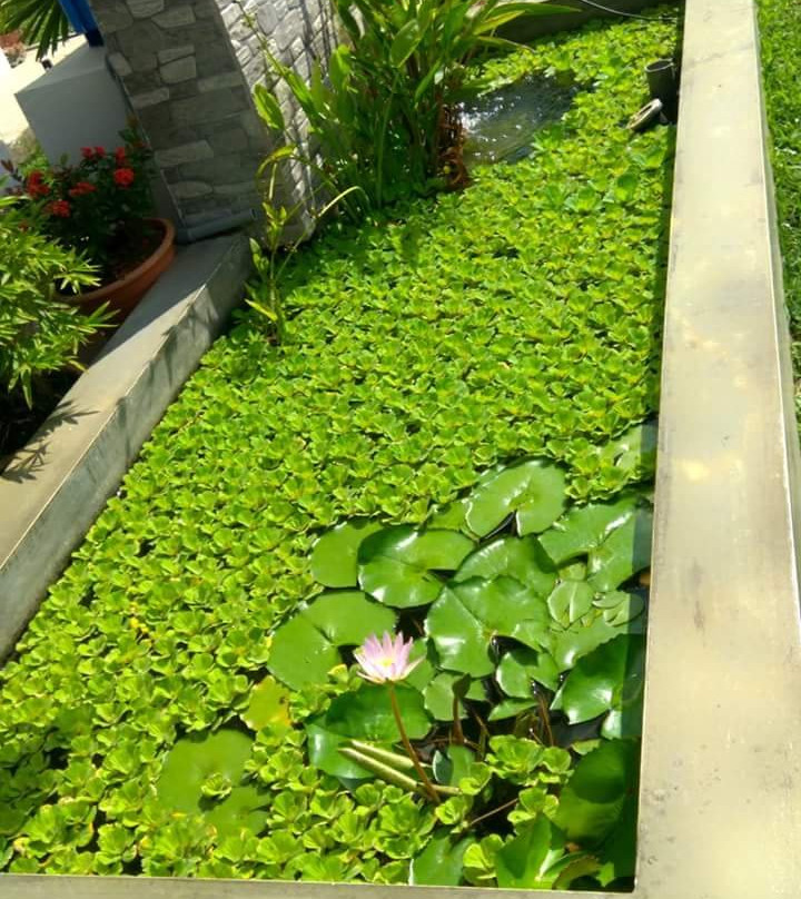 Ilina Rein-居銮必去景点