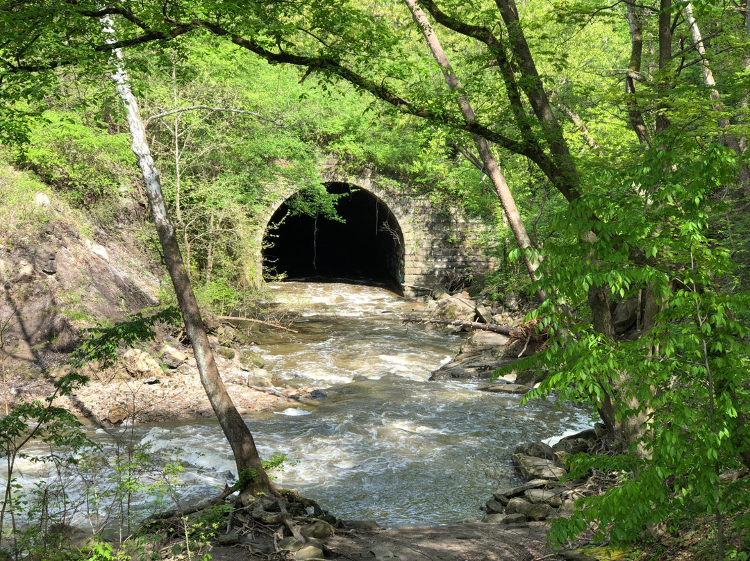 Tinkers Creek Viaduct Park景点图片