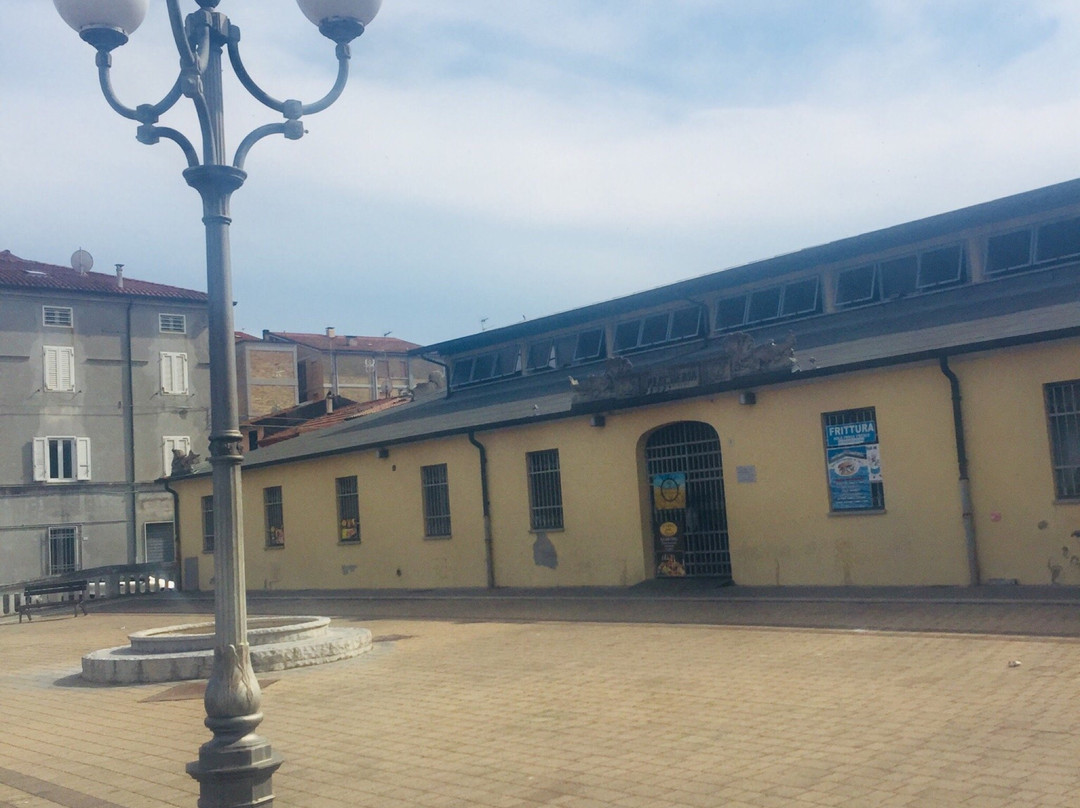 Porto Civitanova旅游攻略图片