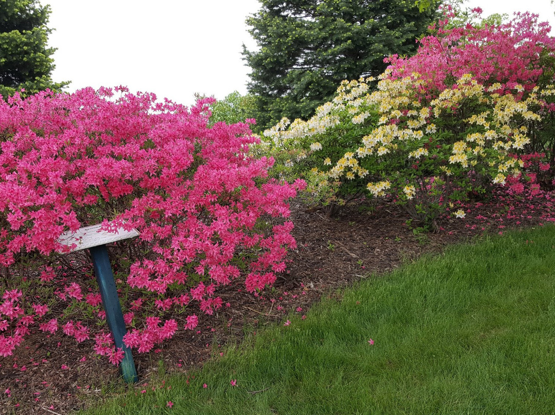 Newton Arboretum & Botanical Gardens-Newton必去景点