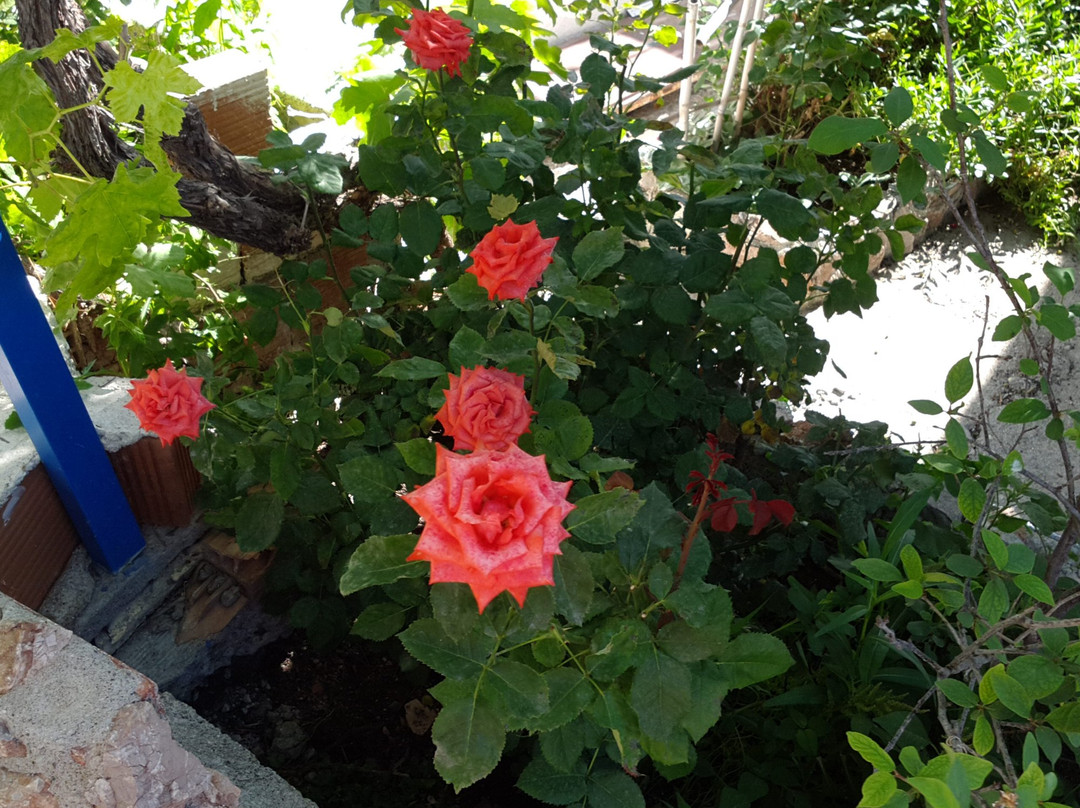 Paradis Studios主图