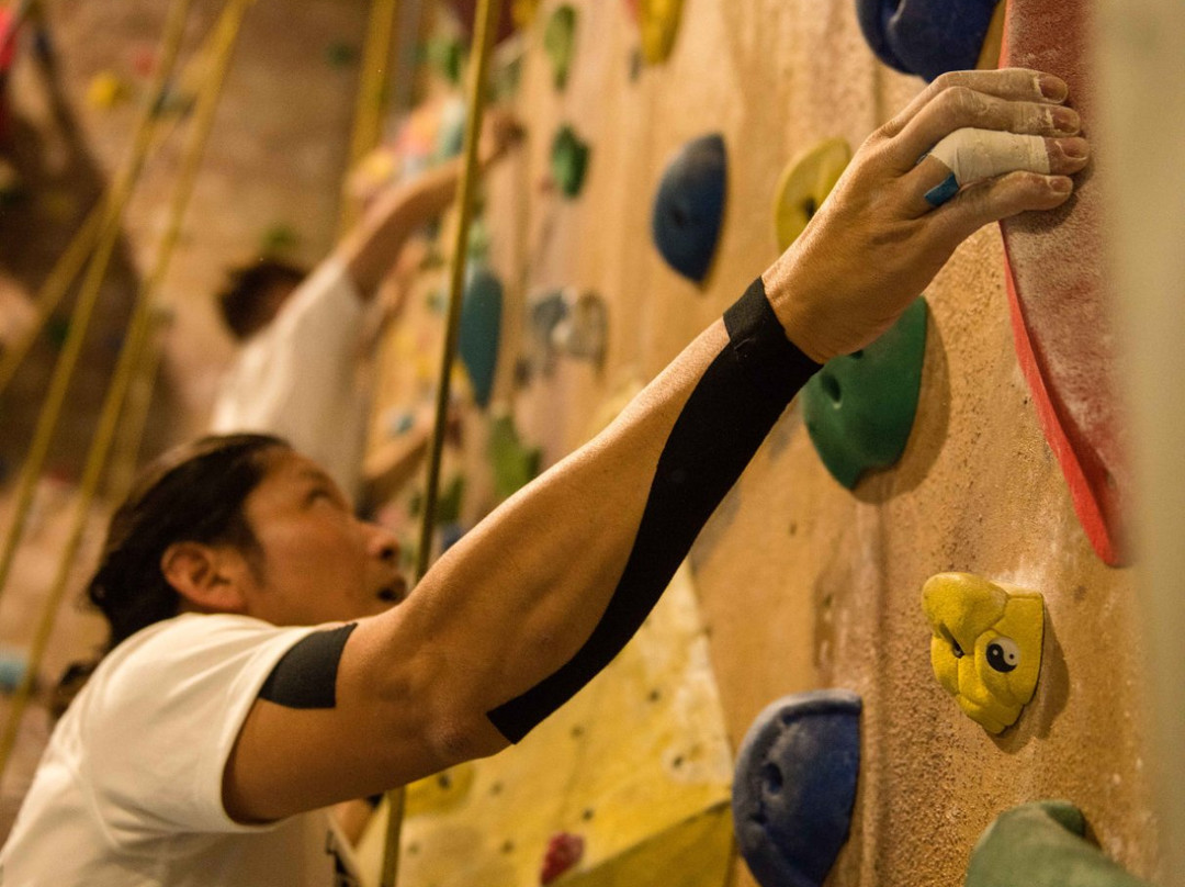 Climb Fit-St Leonards必去景点