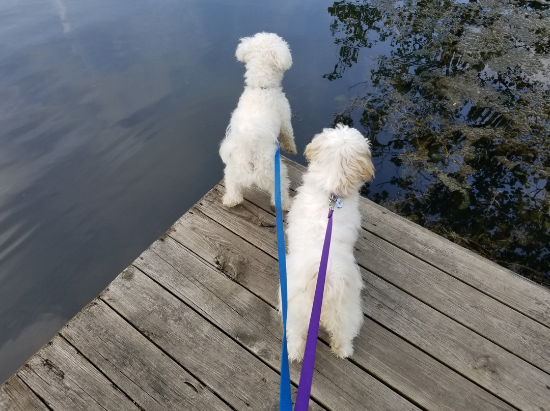 Interlake State Recreation Area-Lynnville必去景点