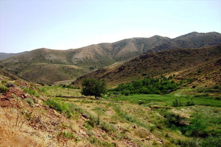 Salook National Park景点图片