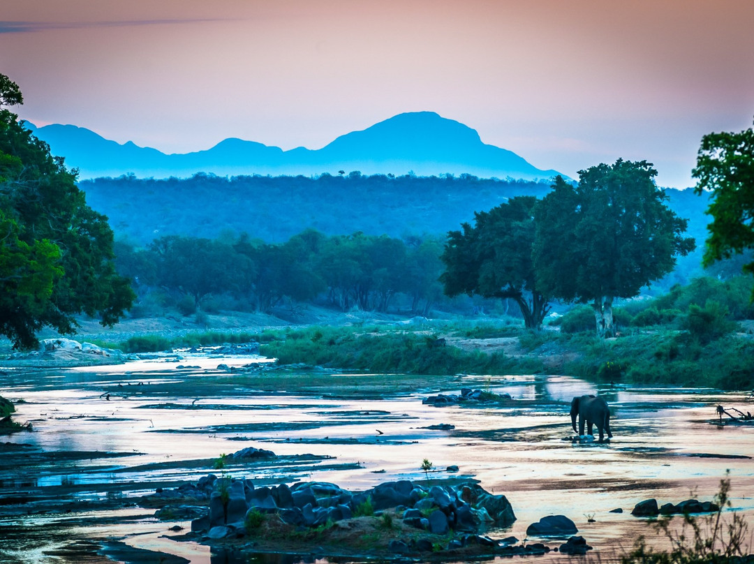 Paw Safaris景点图片