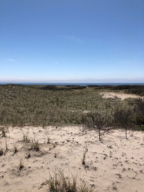 Provincetown Causeway景点图片