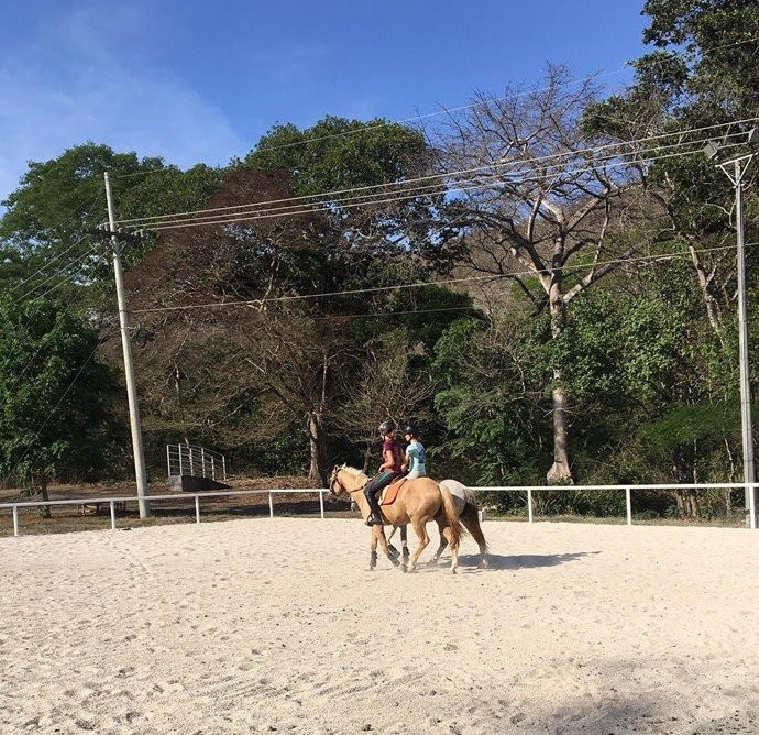 Perla Del Mar Equestrian Center景点图片