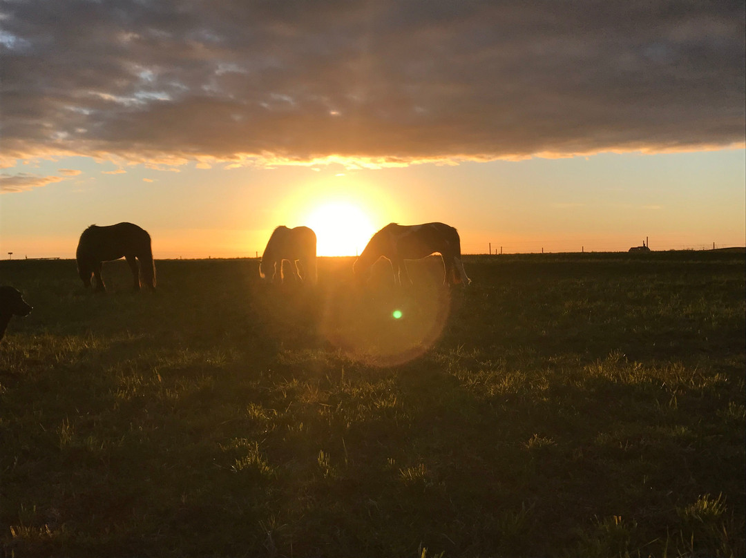 Horseridingtours.is-霍尔斯沃德吕尔镇必去景点