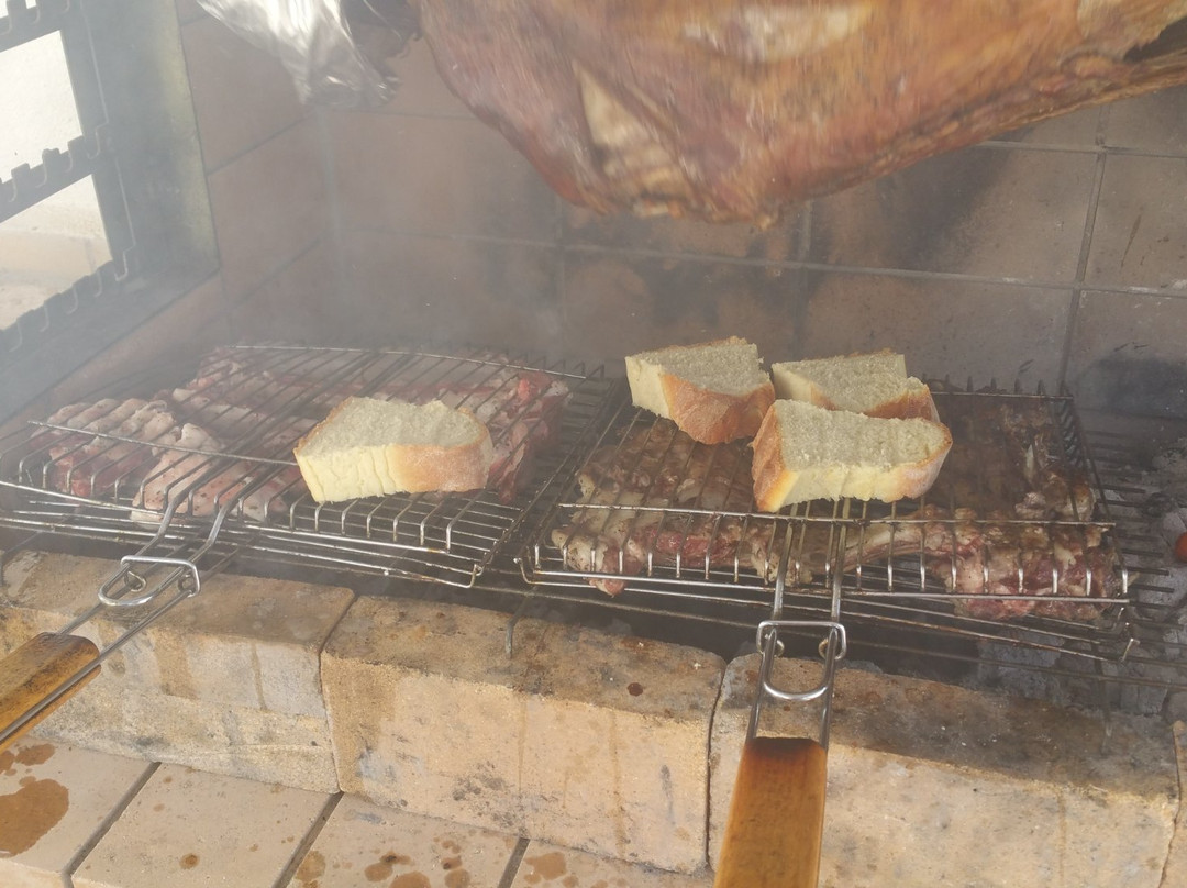 Nicolas Studios主图