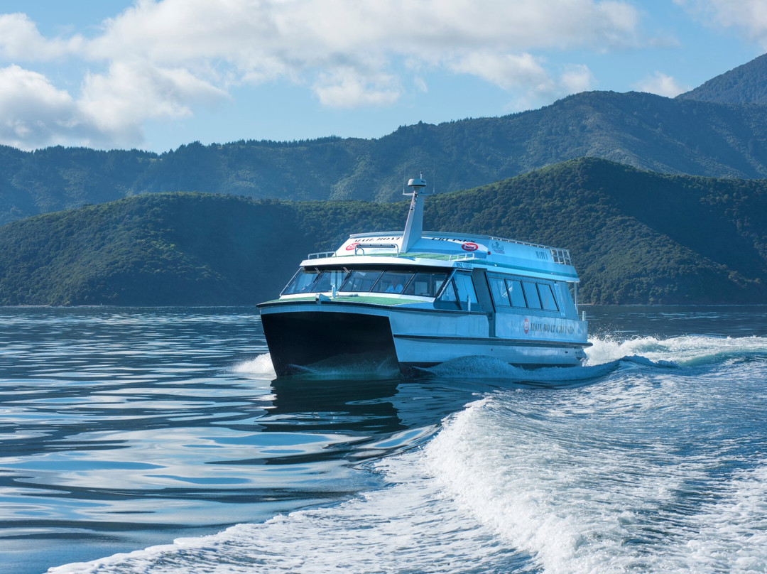 Beachcomber Cruises-皮克顿必去景点