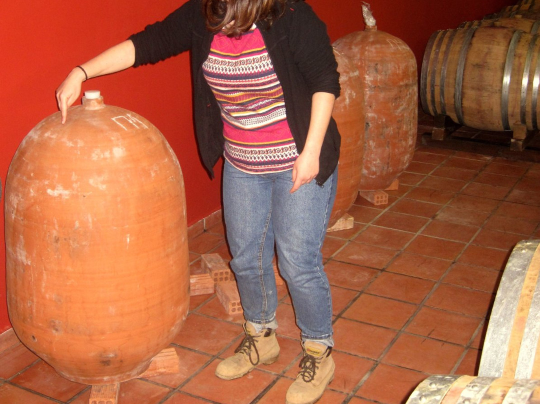Rouvalis Winery-Aigio必去景点