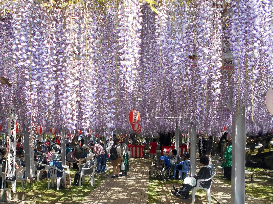 Nakayama Oto Festival-柳川市必去景点
