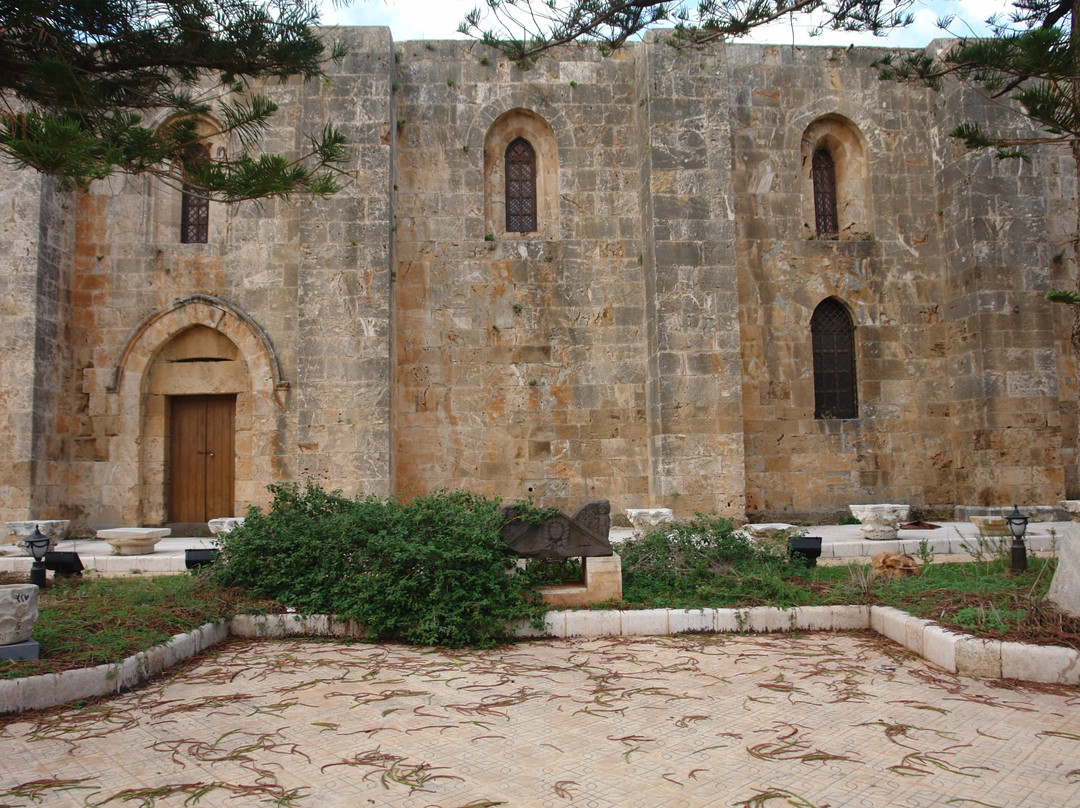 Cathedral of Our Lady of Tortosa景点图片