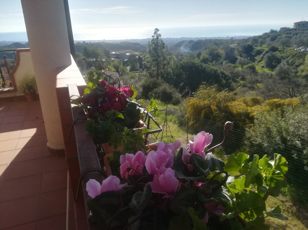 Bellavista Bed and Breakfast Gerace主图