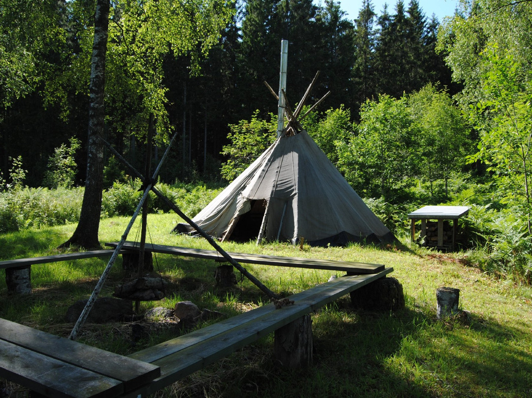 Tingvall Eco Lodge主图