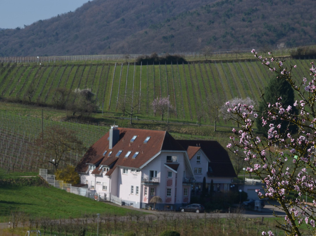 Hotel und Restaurant Castell主图