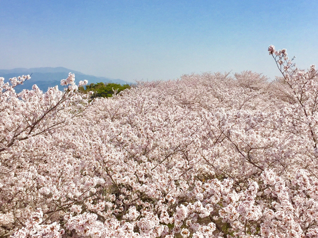 Otoyama Observatory-丰川市必去景点