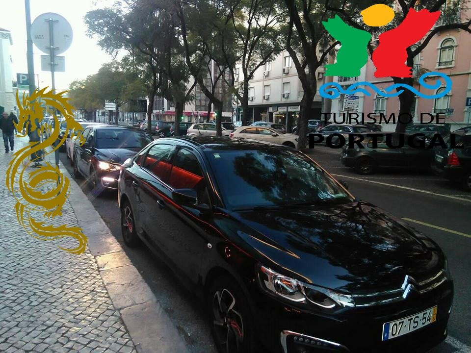 Acrobatic Dragon Private Chauffeur景点图片