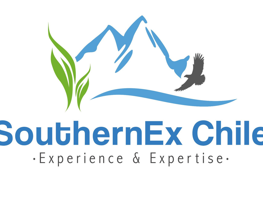 SouthernEx Chile-巴拉斯港必去景点