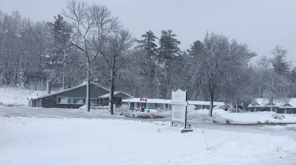 Ash Grove Inn Motel主图