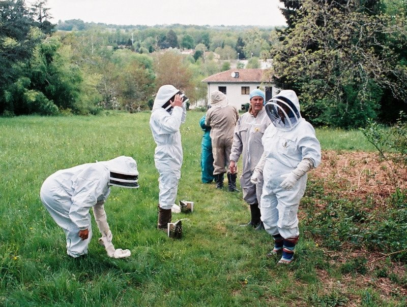 13 Bees Beekeeping Taster Sessions景点图片