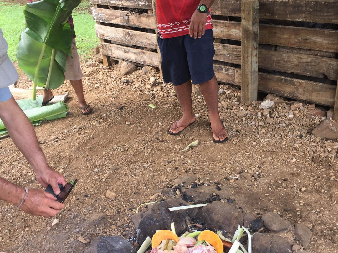 Aitutaki Punarei Culture Day Tour-艾图塔基必去景点