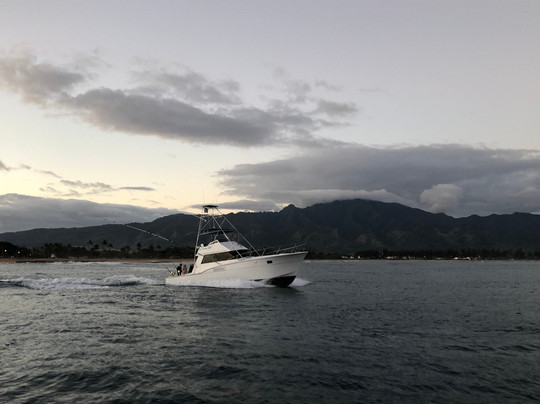 Grand Slam Sportfishing-哈雷瓦必去景点