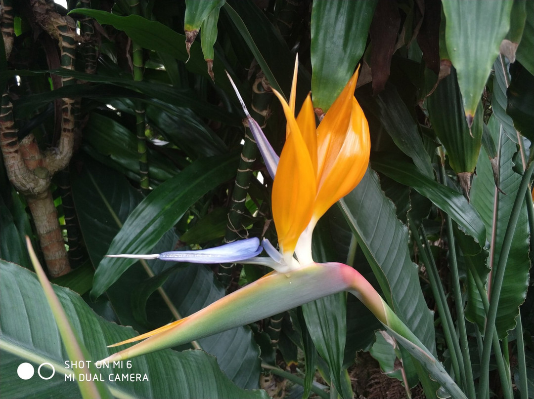Kryvyy Rih Botanical Garden-Kryvyy Rih必去景点