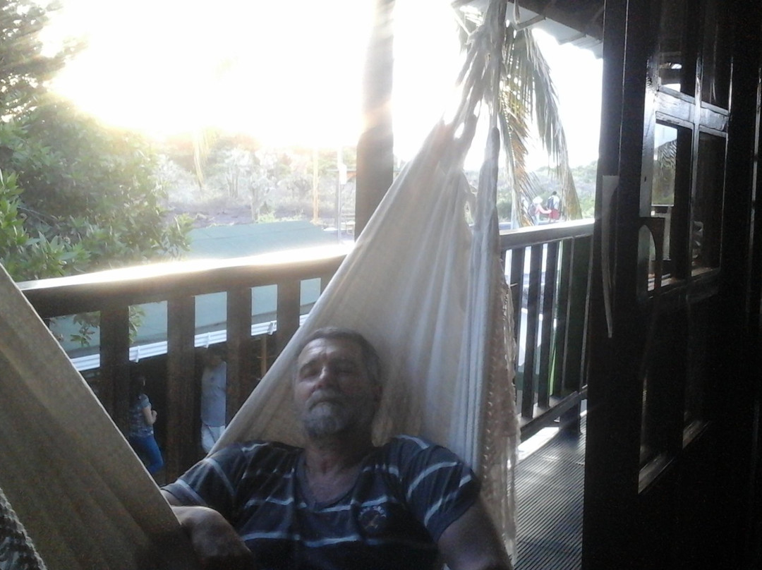 The Wooden House Lodge主图