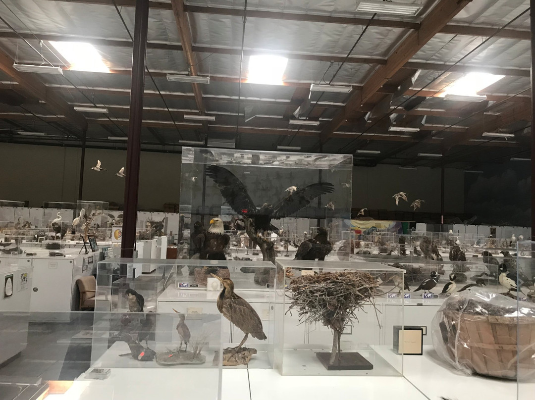 The Western Foundation of Vertebrate Zoology-卡马里奥必去景点